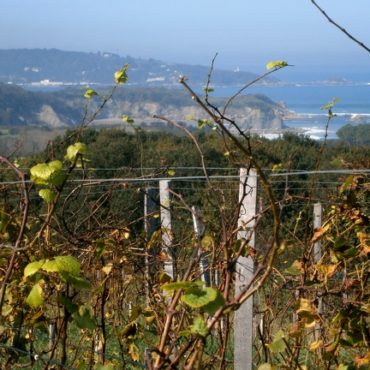 agence voyage pays basque country pais vasco sejour stay saint tour des vins txakoli irouleguy rioja navarra cidre visite bodega cidrerie degustation