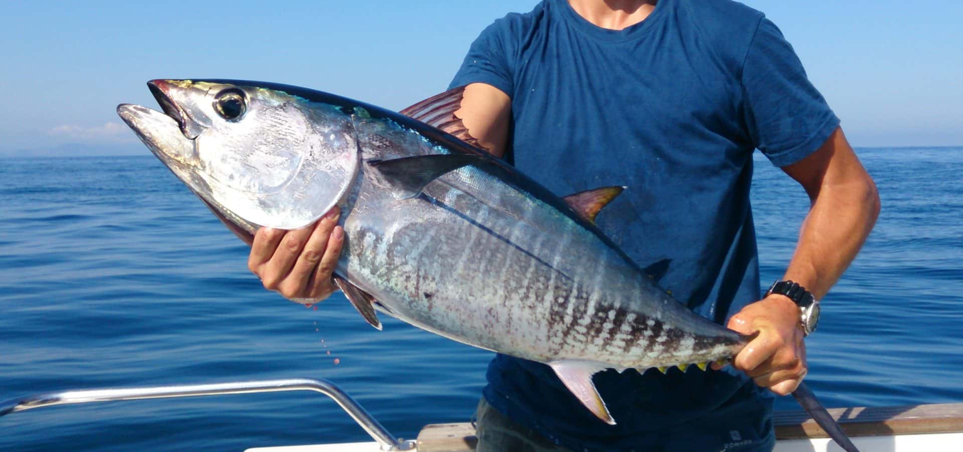 Pêchez votre menu