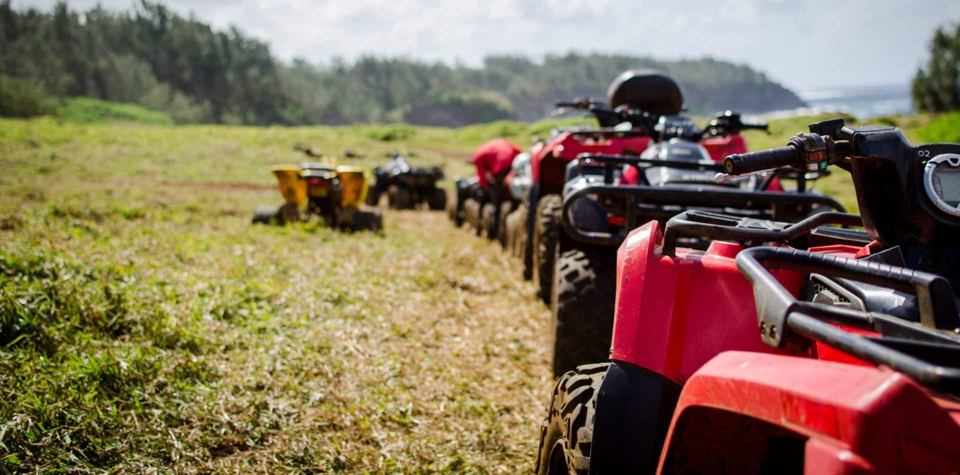 Quad ride & Gastronomy