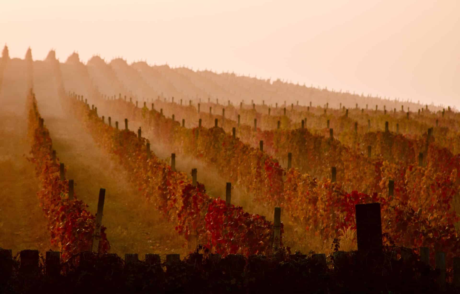 Route des vins dans la Rioja