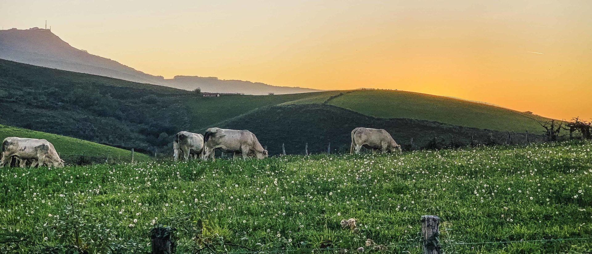 Basque shepherds dinner & evening
